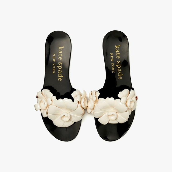 Black / Cream Kate Spade Jaylee Slides | 285-BFRONL